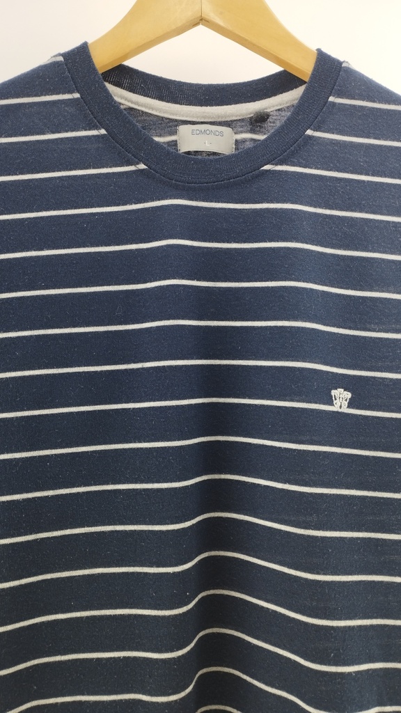 REMERA AZUL EDMONDS T:L