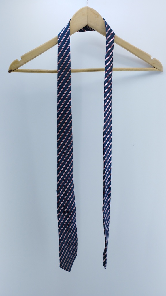 CORBATA MULTICOLOR NEWPORT T:Único