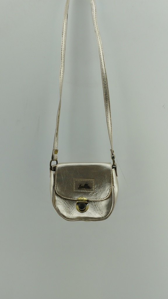 Cartera plateada LAS ALBAS