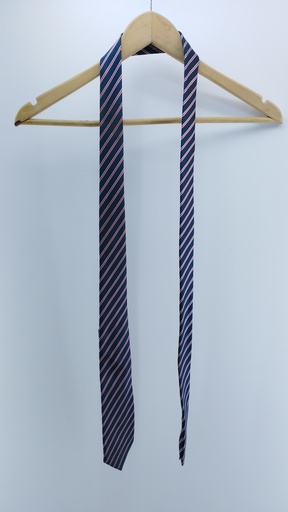[P02138-02] CORBATA MULTICOLOR NEWPORT T:Único