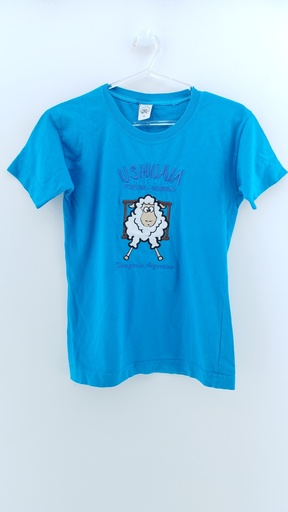 [P02983-12] REMERA CELESTE T:12
