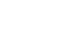 Litt Circular